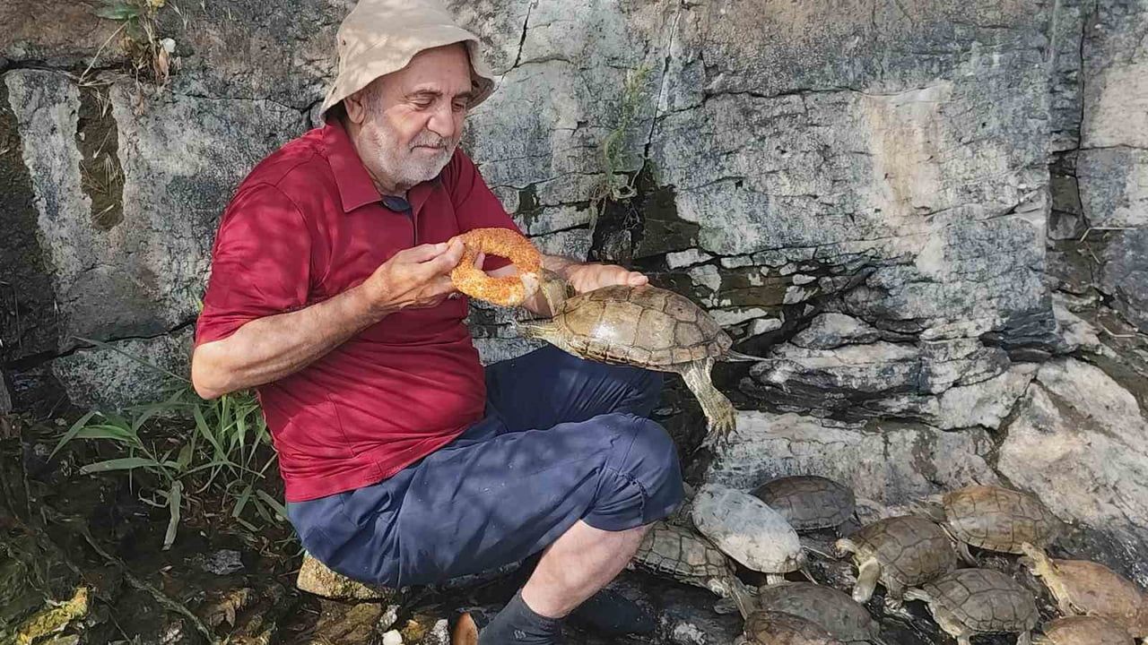 Elinden beslediği kaplumbağalarla tanınan fotoğrafçı Erciş'te ilgi çekiyor
