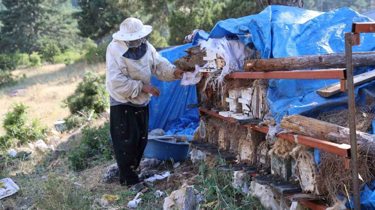 Emekli imamın Toroslar zirvesinde arılarla seçtiği doğal yaşam