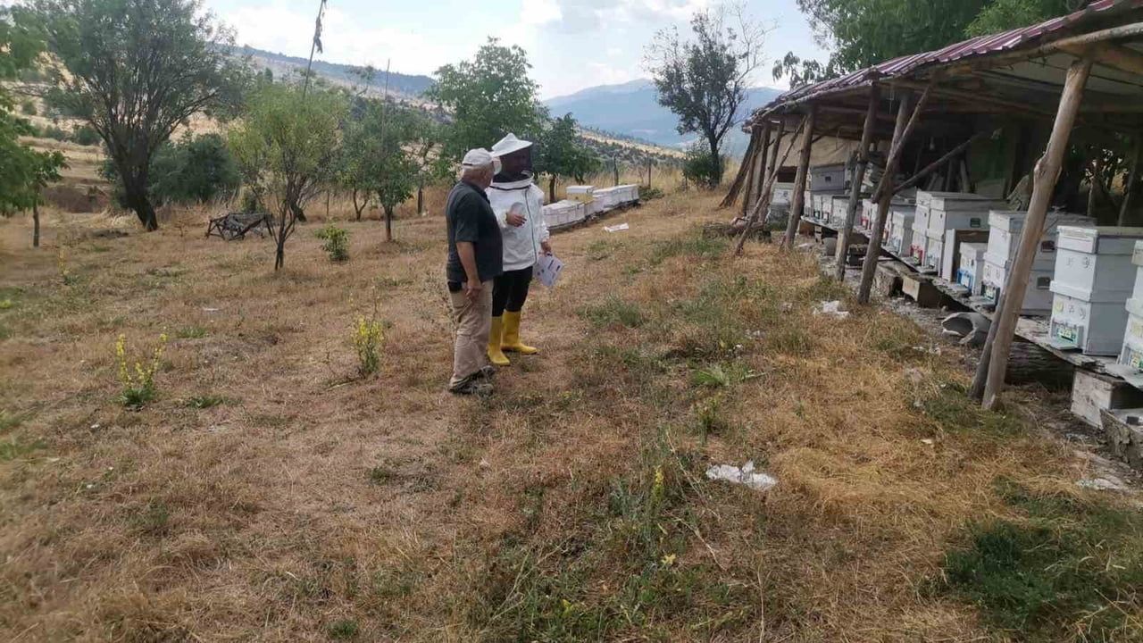 Emet'te kovan tespitiyle arıcılık kayıtlarına yeni adım
