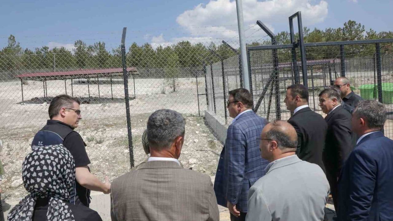 Emet'te sahipsiz hayvan bakımevi hizmete açıldı