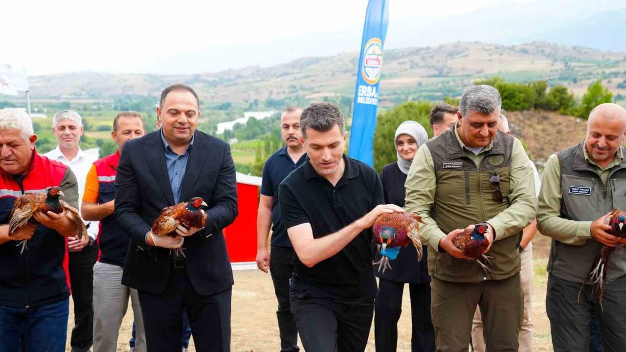 Erbaa'da doğaya bin halkalı sülün ve 500 kınalı keklik bırakıldı