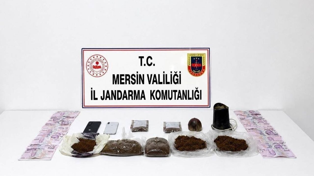 Erdemli'de jandarmadan bonzai operasyonu: 3 gözaltı, 1 tutuklama