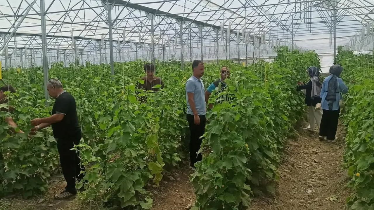 Erzincan'da sahada yetişen yeni nesil tarım uzmanları