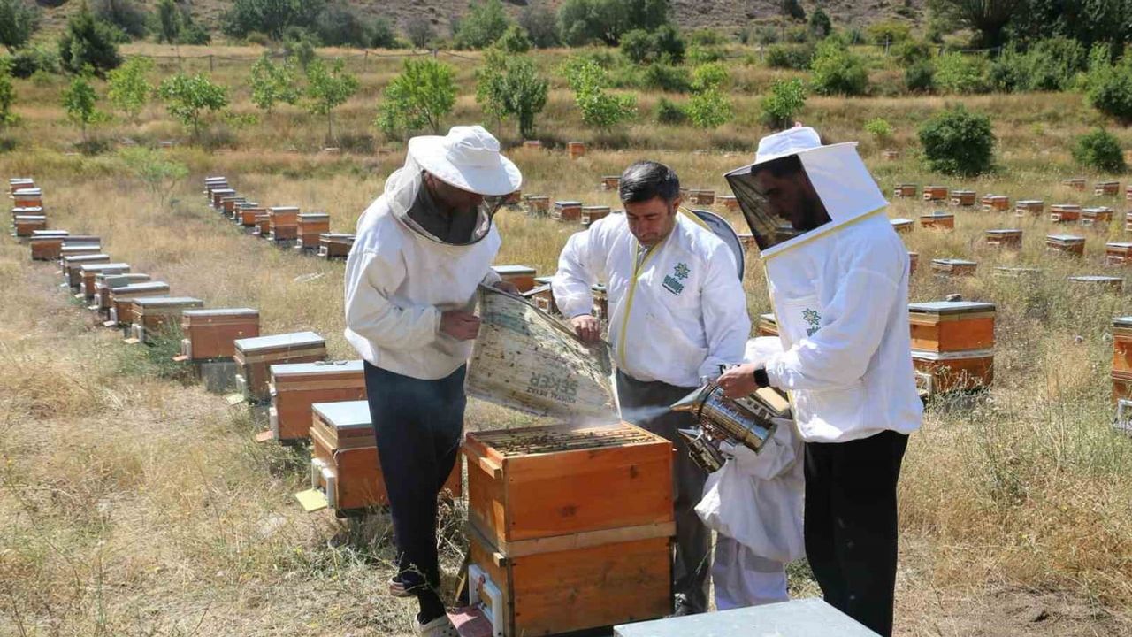 Erzincan yaylalarında asırlık bal mirası ve organik üretim yükseliyor