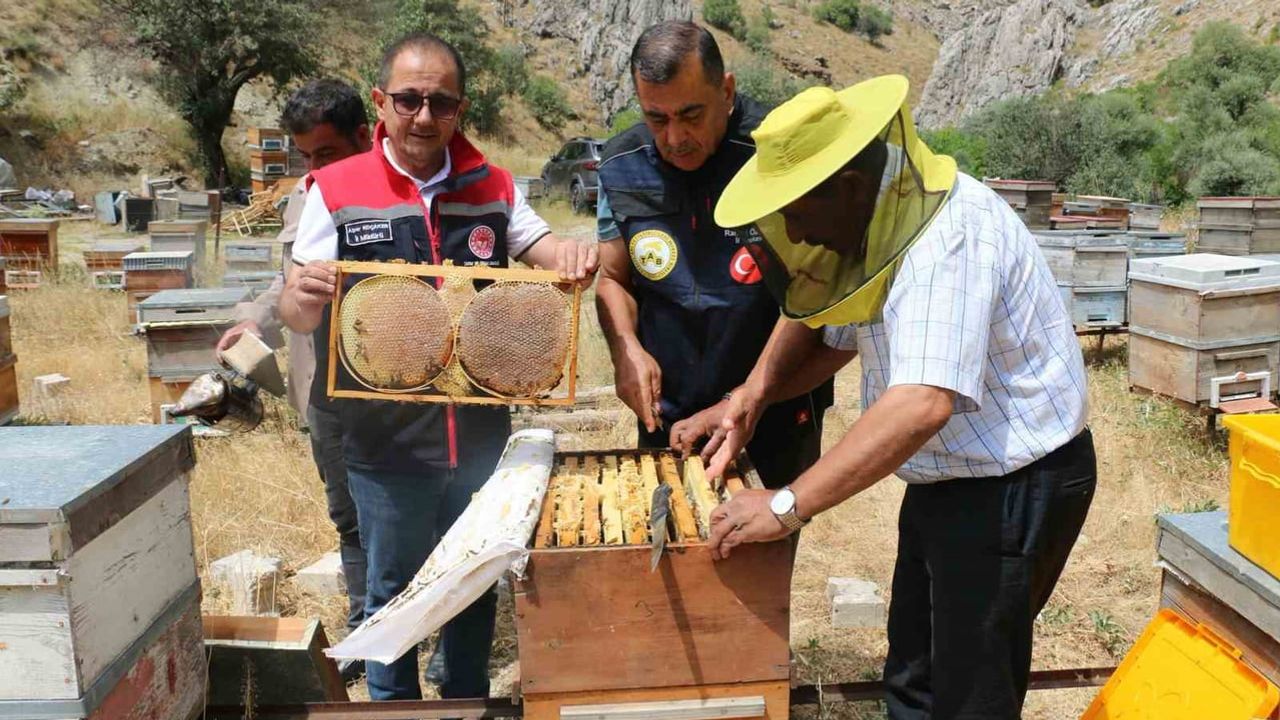 Erzincan yaylalarından sofraya bal akışı başladı: üreticiler 1.500 ton hedefliyor