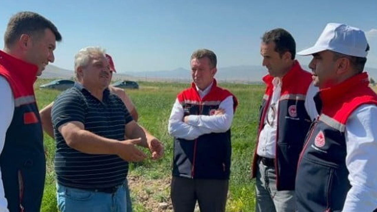 Erzurum'da atıl araziler TAKE ile bakliyata dönüşüyor