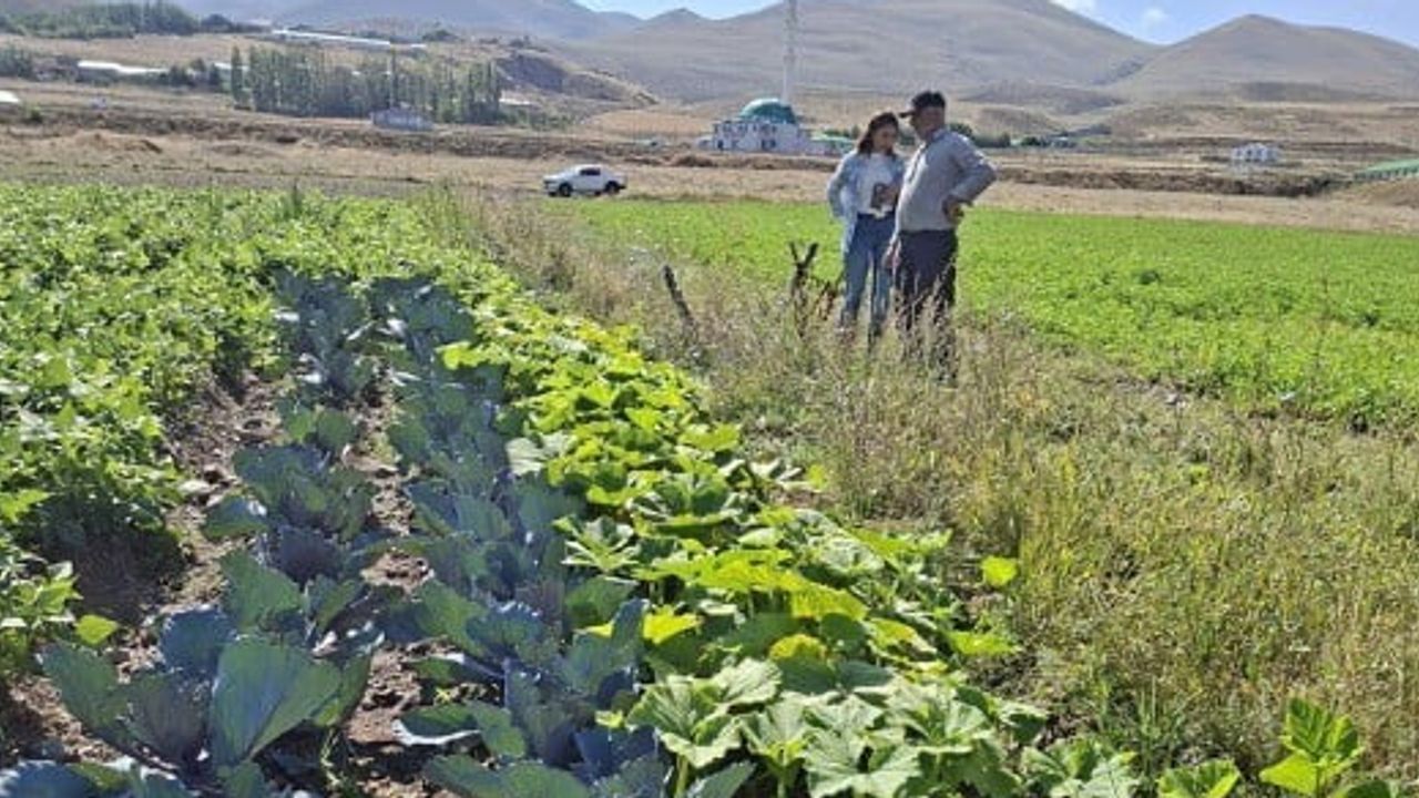 Erzurum'da kadın çiftçilere sahada sürekli destek: kırmızılahana ve kereviz üretimi yaygınlaşıyor