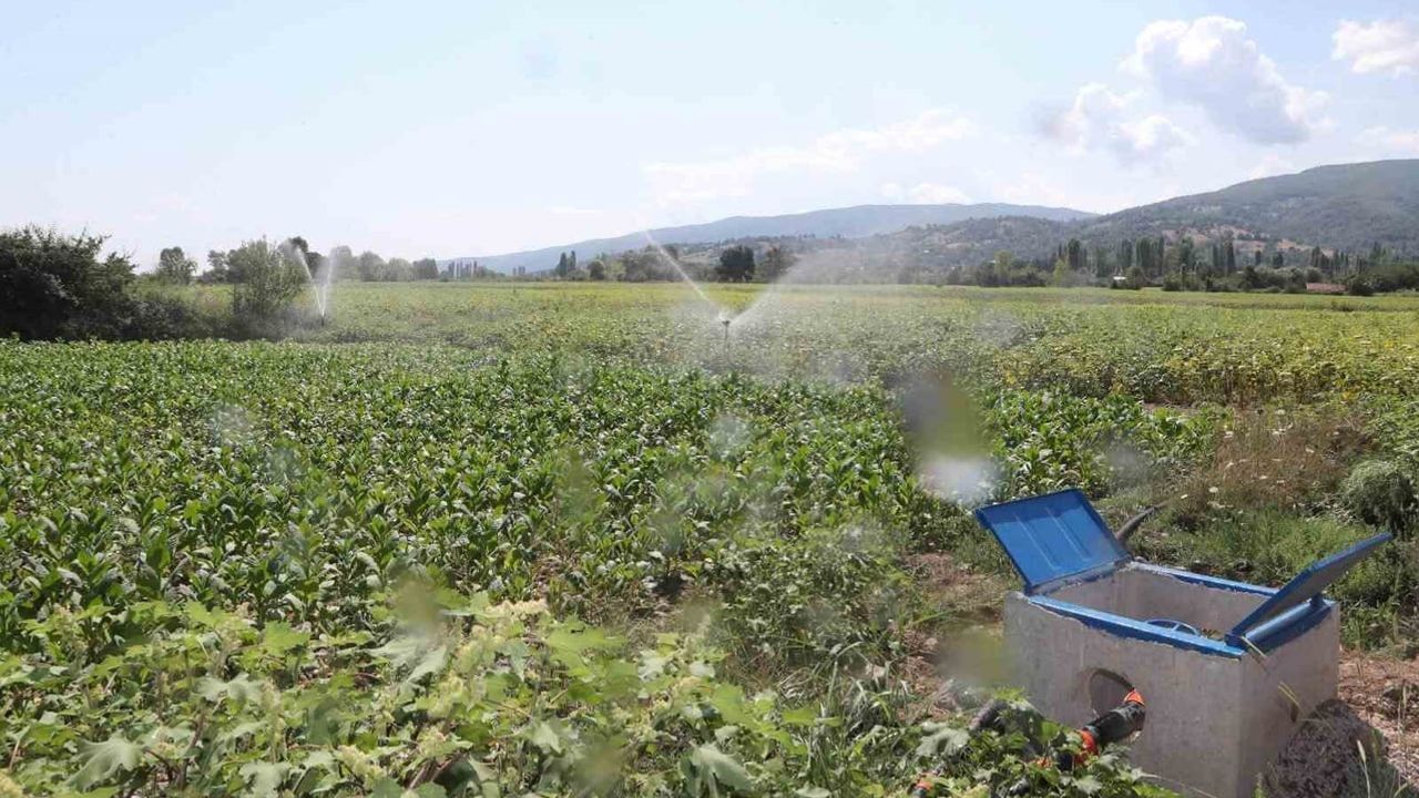 Esençay'da gölete kurulan basınçlı sistemle 305 hektar düzenli sulamaya geçti