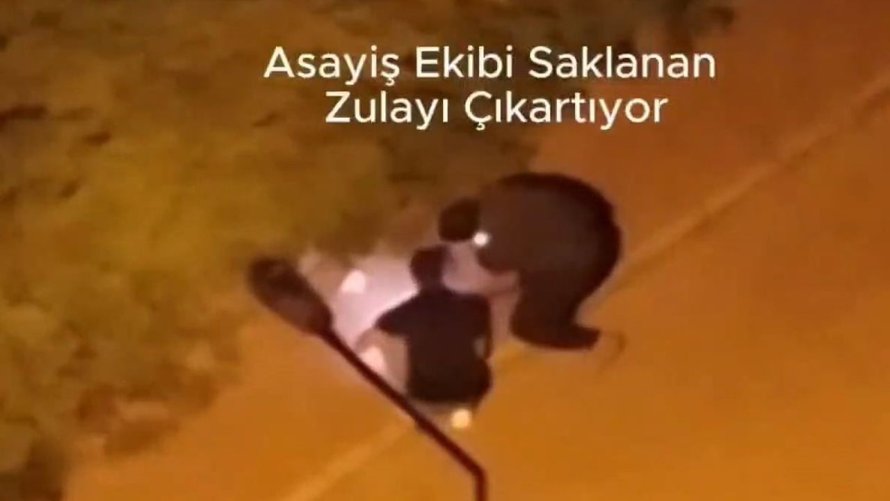 Esenyurt'ta ihbarla düzenlenen baskında bonzai ticetine yönelik beş gözaltı