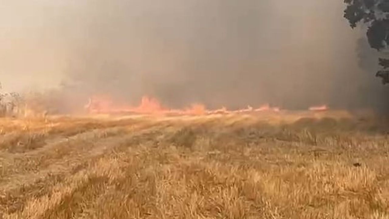 Eskipazar'da anız yangını hızlı müdahaleyle sınırlandırıldı