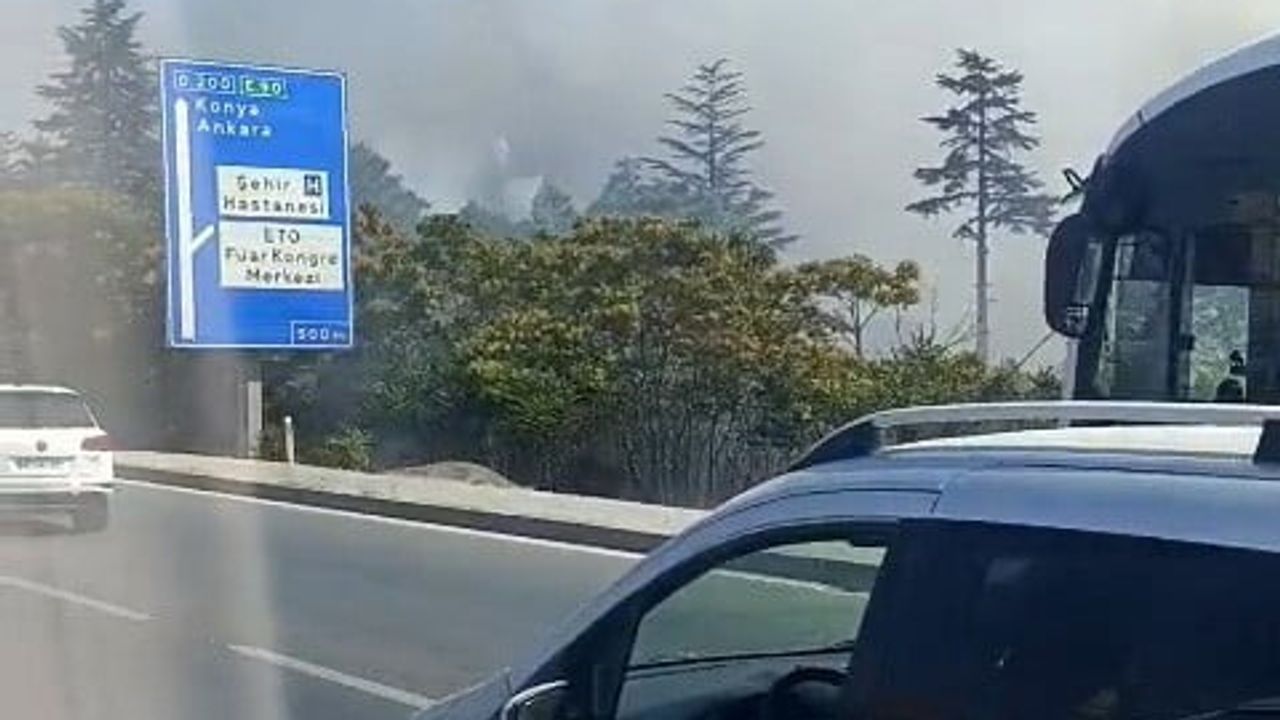Eskişehir'de 71 Evler çevresinde çıkan otluk yangını kontrol altına alınmaya çalışılıyor