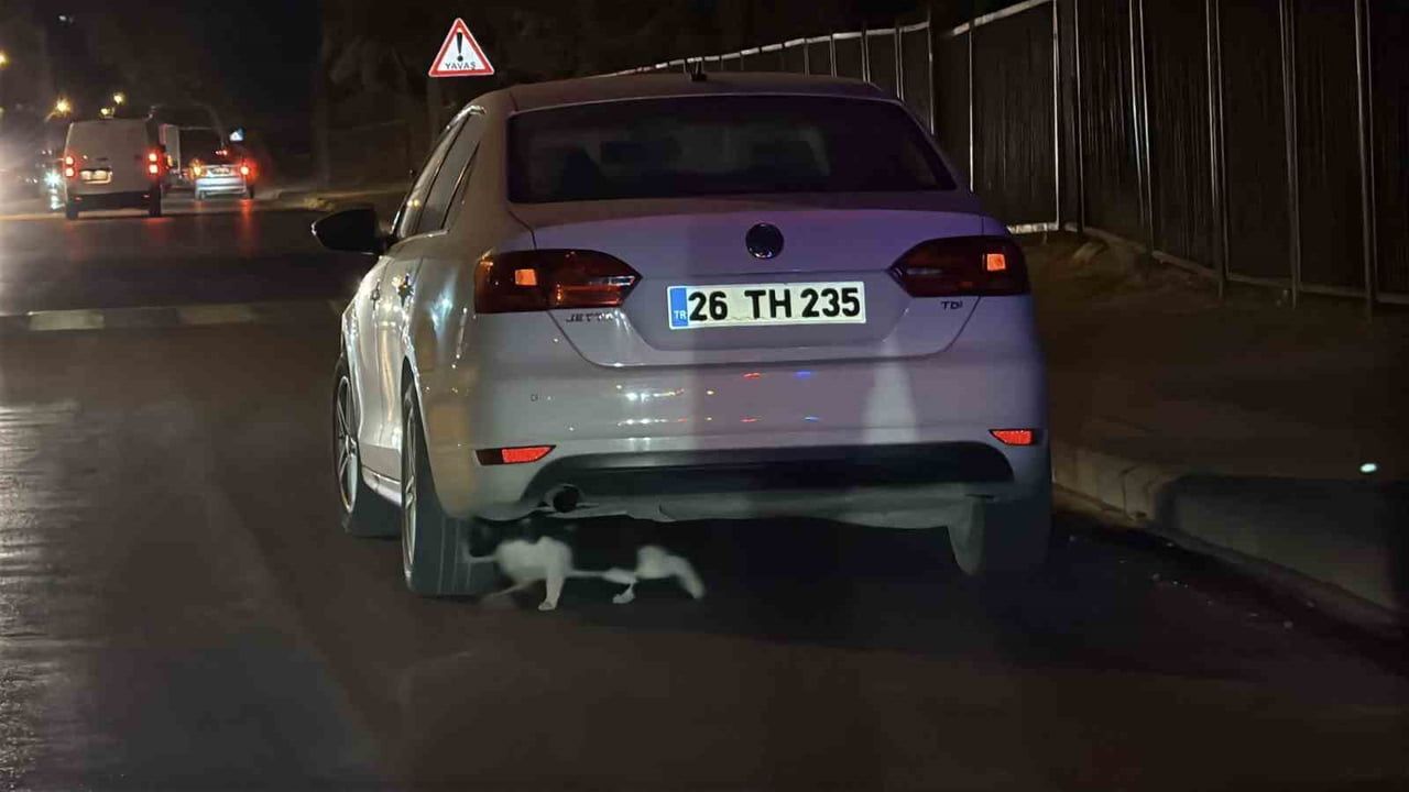Eskişehir'de kasis tartışması yolu kapatana 180 bin lira ceza