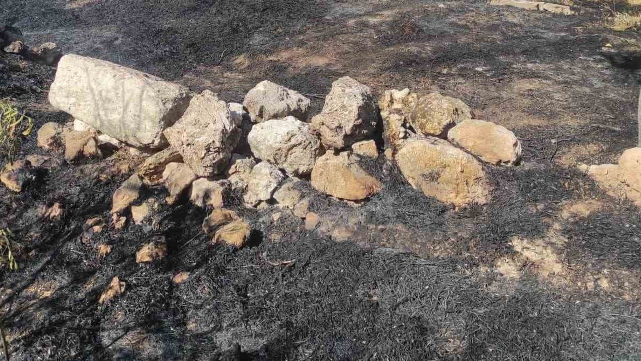 Eskişehir'de kullanılmayan evin bahçesindeki yangın ahıra sıçradı, itfaiye büyümeden söndürdü
