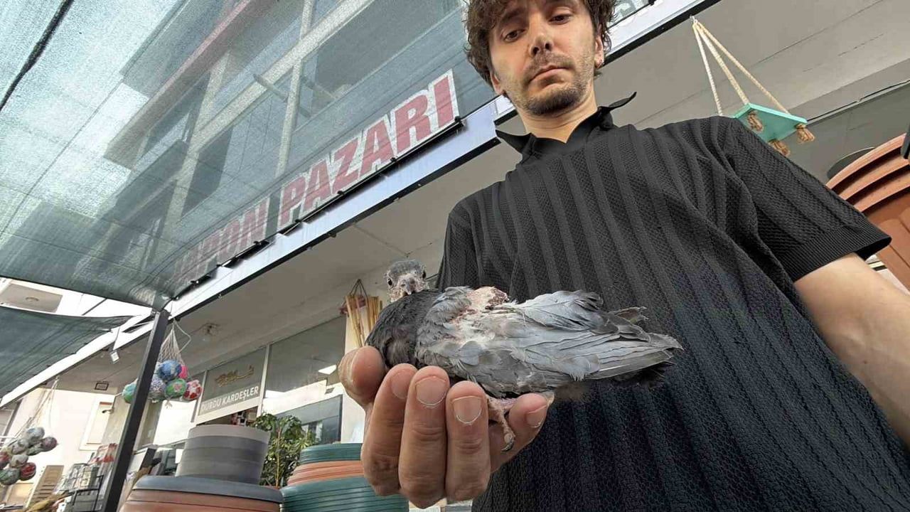 Esnafın şefkatli müdahalesi: yaralı yavru kuş DKMP'ye teslim edildi
