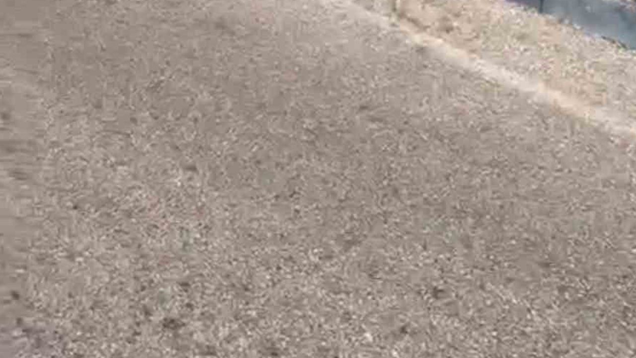 Ezine'de yol kenarındaki otluk yangını ekiplerin müdahalesiyle kısa sürede söndürüldü