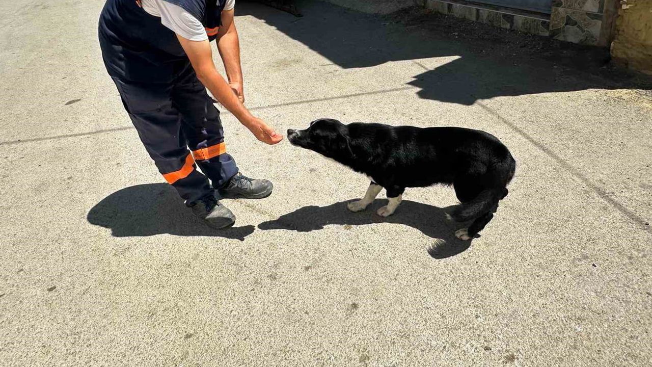 Fadıllı'da temizlik görevlisinin Dayı'ya uzanan şefkat eli