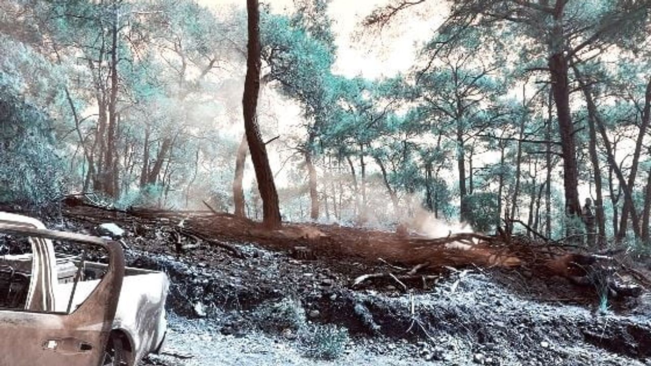 Fethiye'de doğal gaz hattı çalışmasında jeneratör tutuştu, ormanlık alanda büyüme önlendi