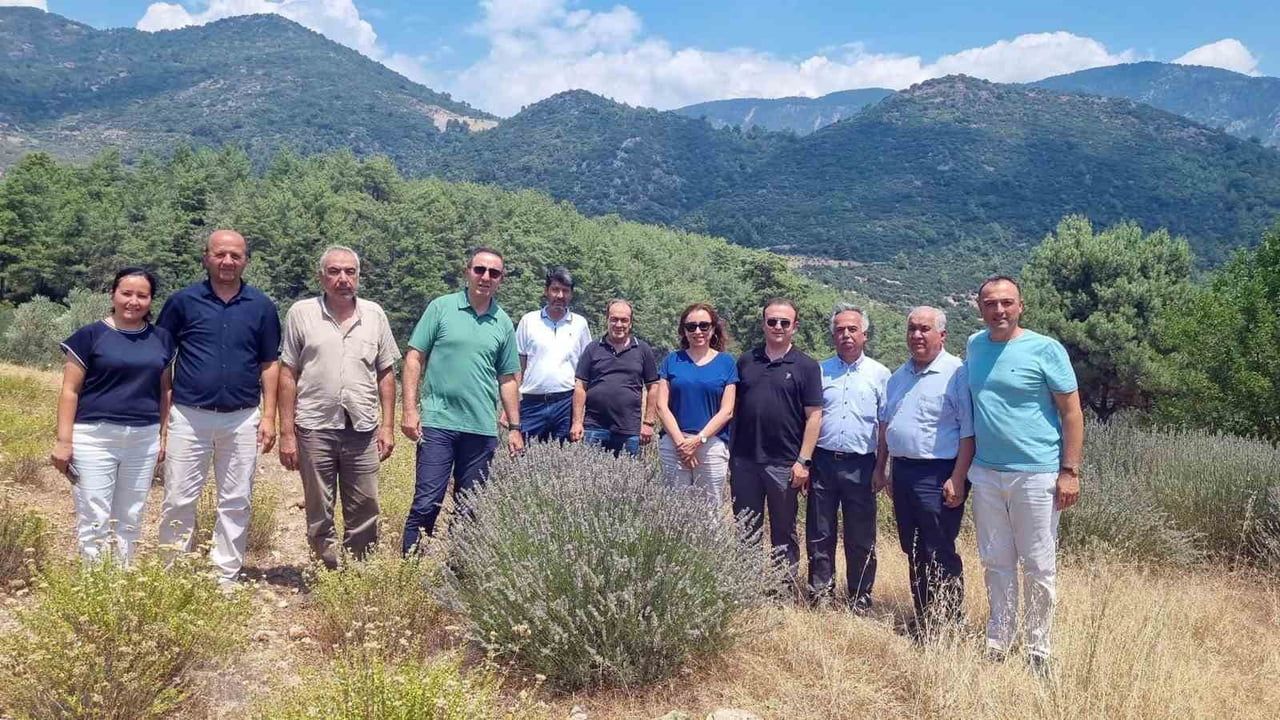 Fethiye’de tıbbi ve aromatik bitki üretimine altyapı yatırımı