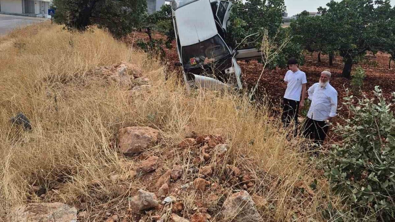 Fıstık ağacında asılı kalan otomobil: 2 yaralı