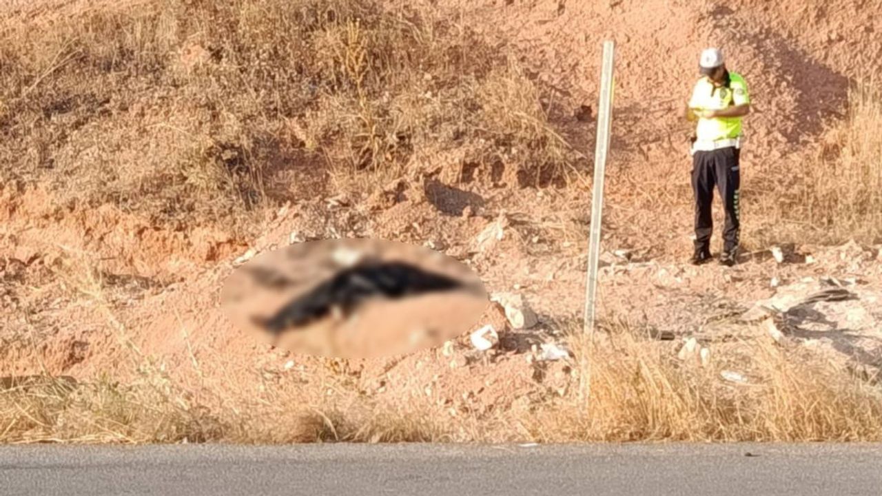 Gaziantep'te sabah çarpışması: üç kişi hayatını kaybetti, üç yaralı