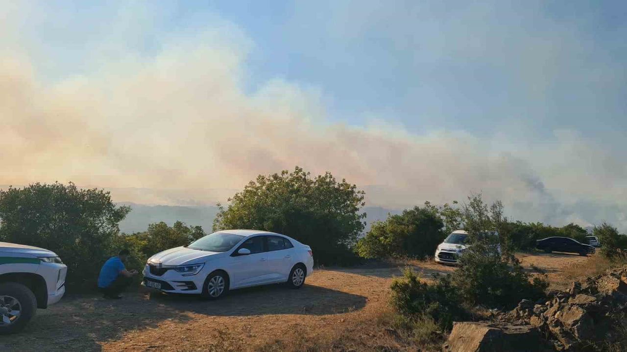 Gebze'de alevler ormana sıçradı, ekipler havadan ve karadan müdahale ediyor