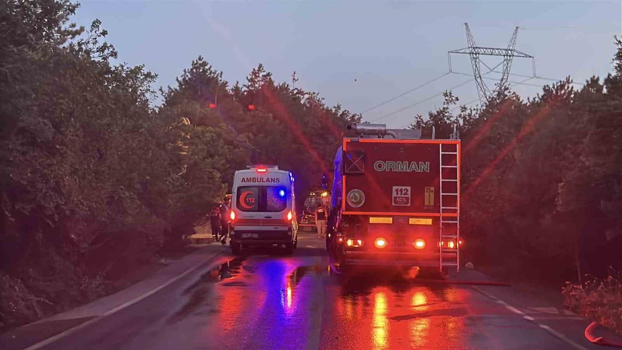 Gebze'de rüzgarla yayılan orman yangını havadan ve karadan müdahale ile kontrol altına alındı