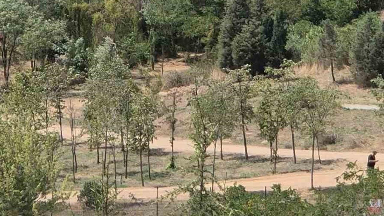 Gebze'de yükselen dumanlar kısa sürede bastırıldı; ekipler alevleri 1,5 saatte kontrol altına aldı