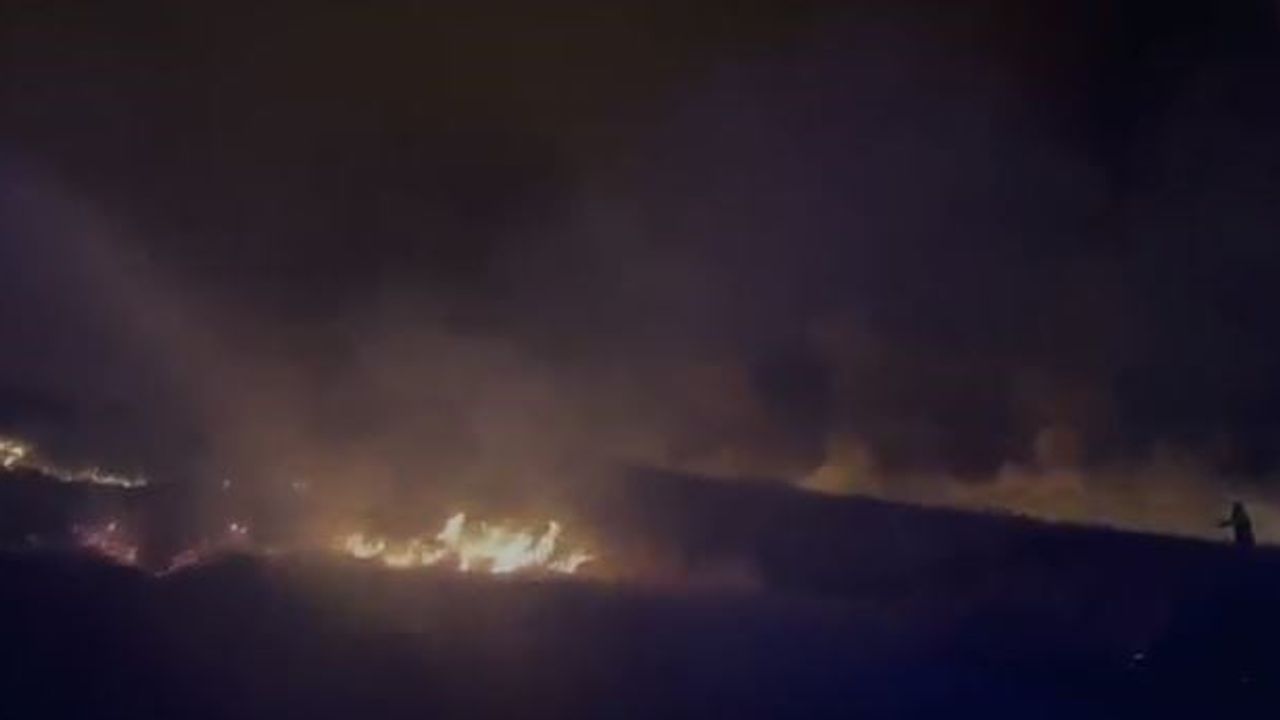 Gece başlayan dağ yangını Elazığ'ın Palu ilçesinde kontrol altına alındı