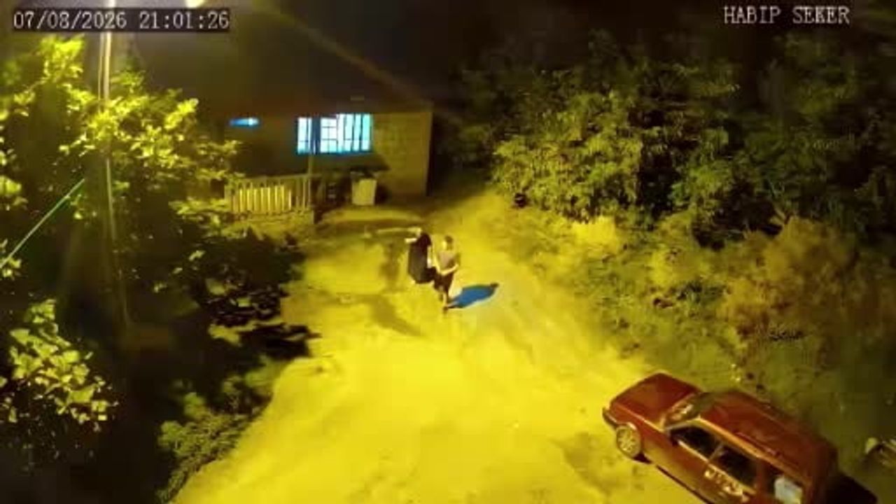 Gece sessizliğini bozan ayı sesi köylüleri eve kaçırdı