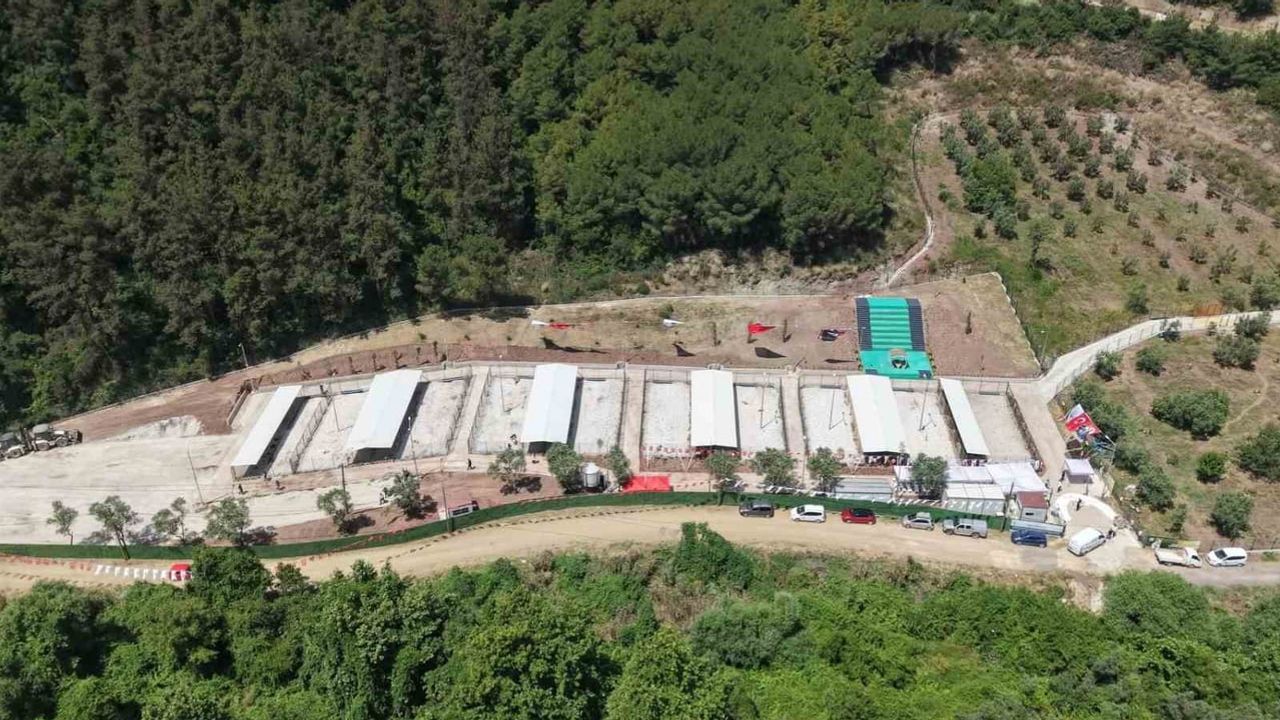 Gemlik hayvan yaşam alanının ziyaretlere kapatılmasına tepkiler yükseliyor