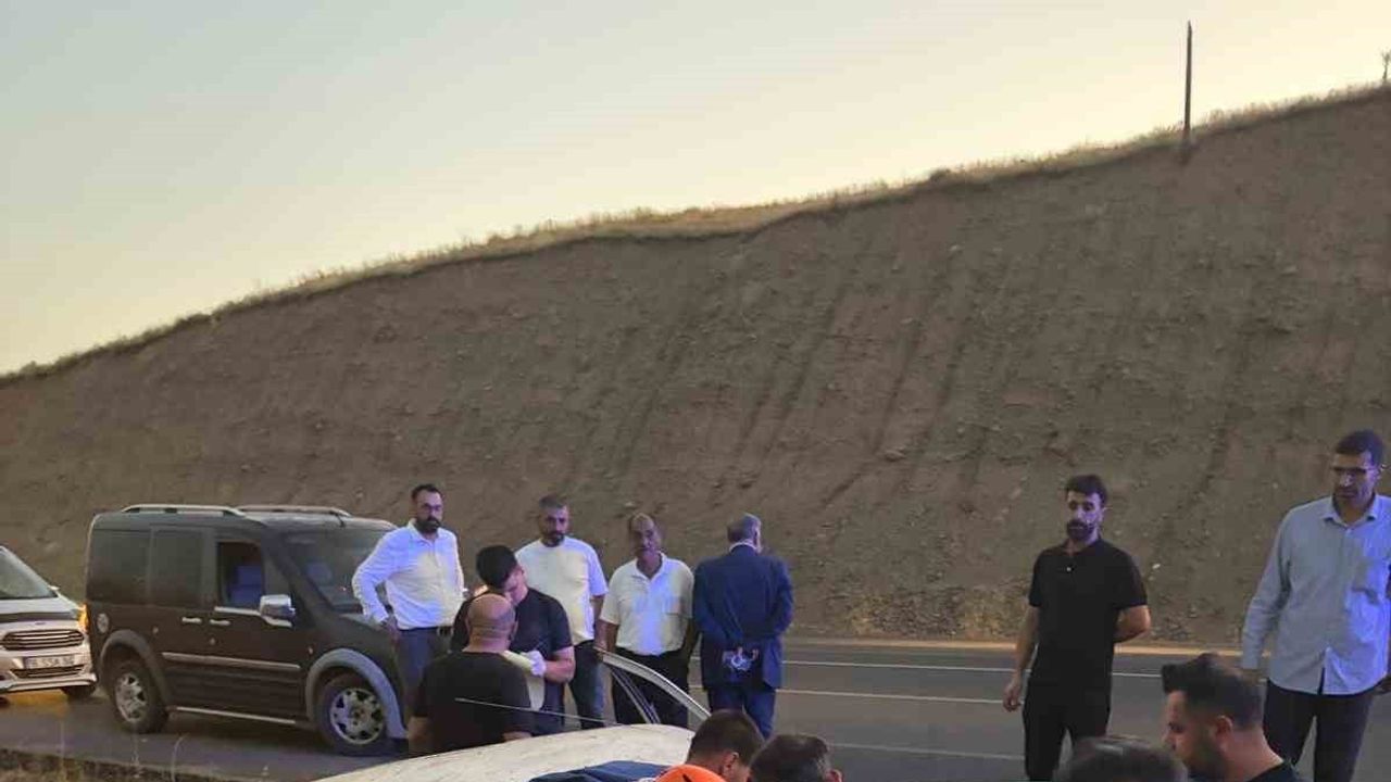 Genç kırsalında direksiyon hakimiyetini kaybeden otomobil yoldan çıktı, 2 yaralı