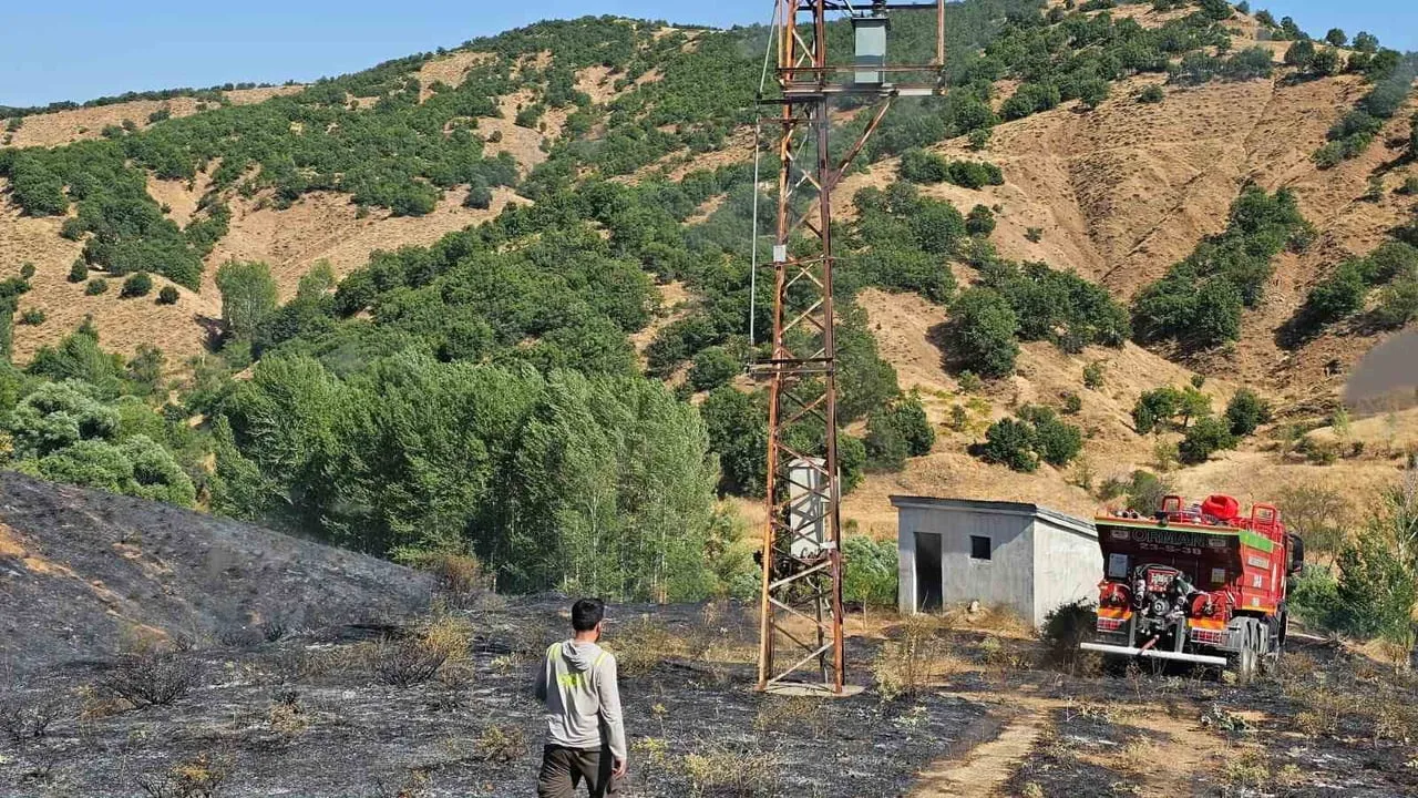 Genç'te Yayla köyü kırsalında çıkan yangın hızlı müdahaleyle kontrol altına alındı