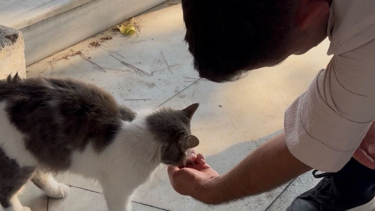 Gençlik vefası: Hamzabey külliyesinde gönüllü bakım
