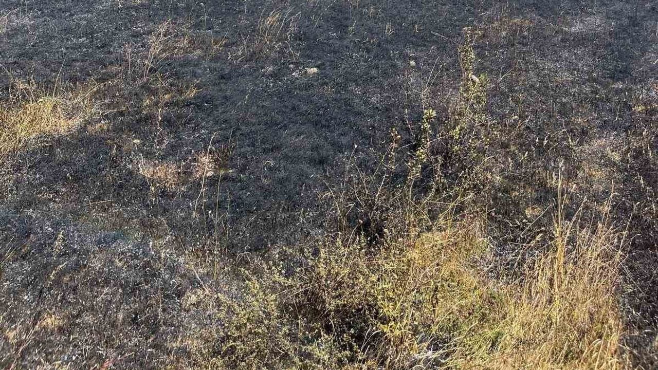 Gerede Sungurlar'da boş arazide çıkan yangın kontrol altına alındı