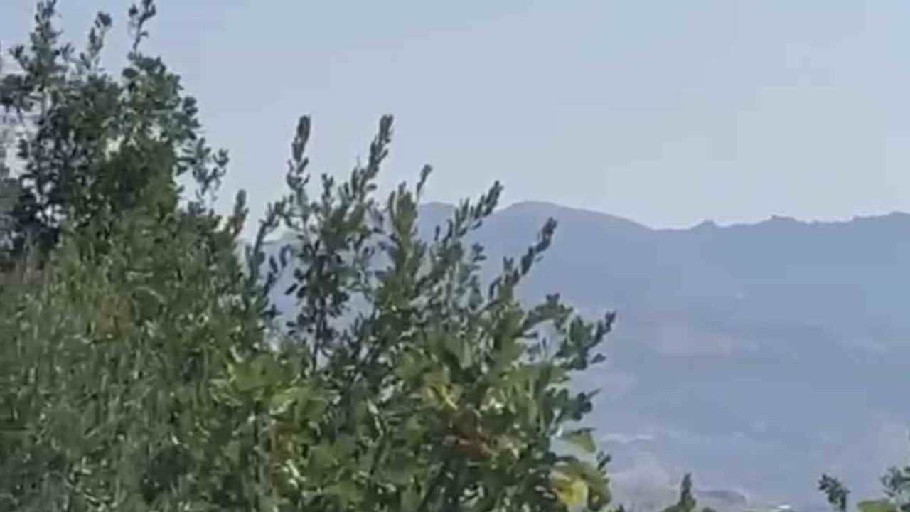 Gerger'de gece çıkan orman yangınına müdahale sürüyor