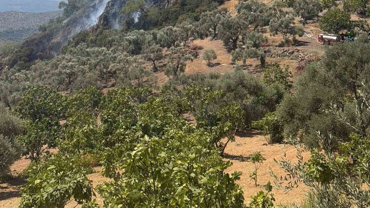 Germencik Dağyeni'de zorlu arazide çıkan yangın hızlı müdahale ile kontrol altına alındı