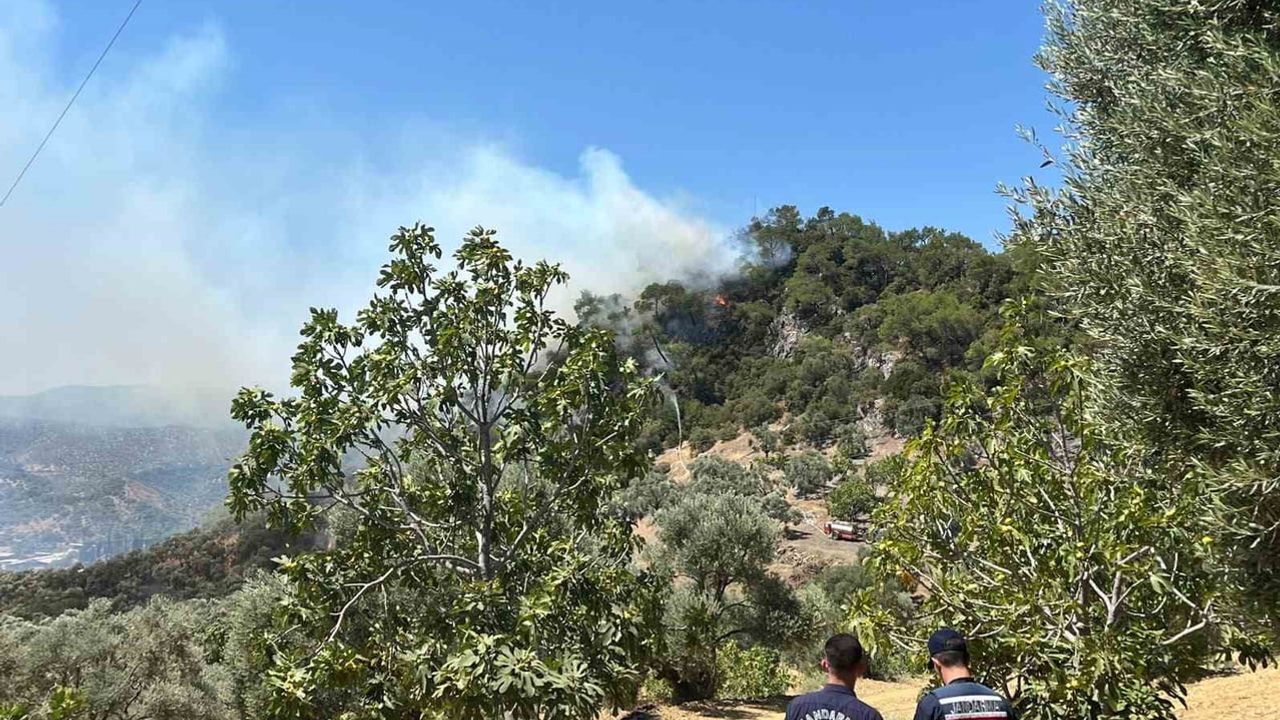 Germencik'te Dağyeni'de erişimi güç orman yangınına helikopter ve uçaklarla müdahale