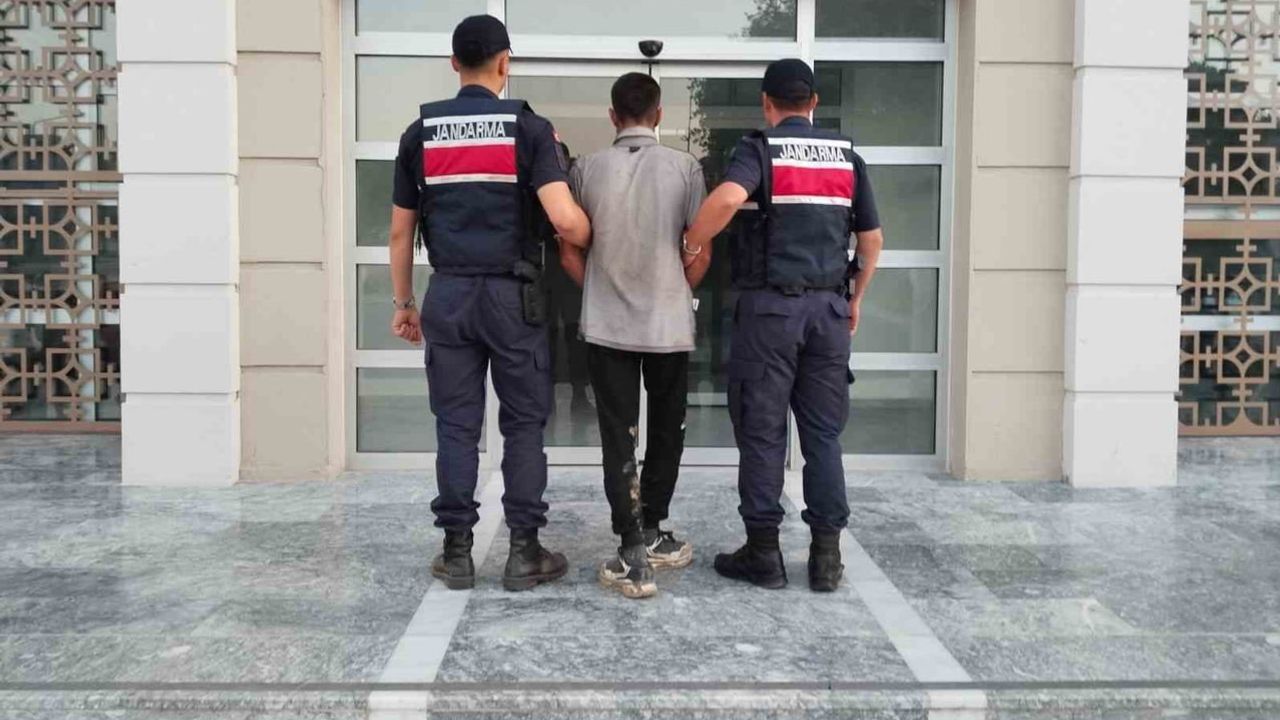 Germencik'te incir bahçesinde suçüstü yakalama