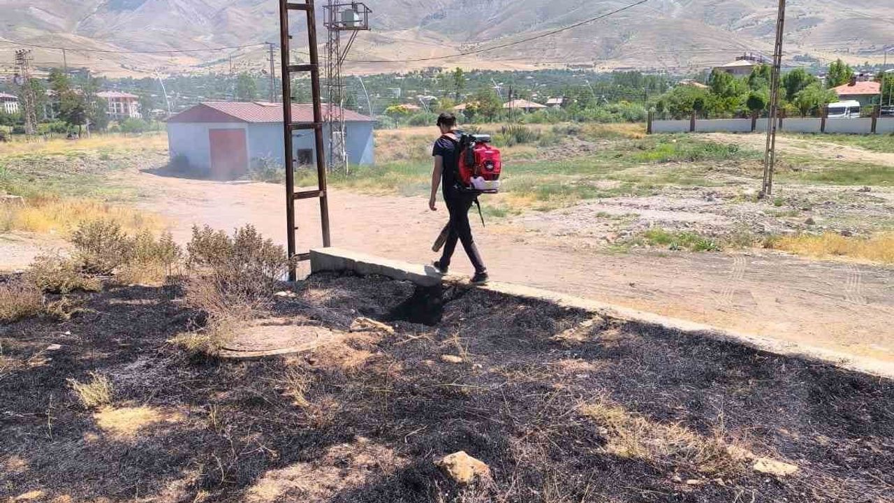 Gevaş'ta anız alevleri kontrol altına alındı