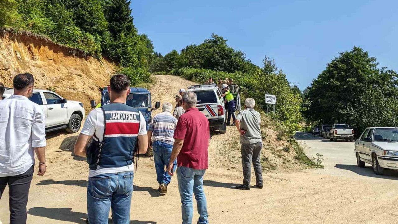 Giresun'da Piraziz yakınlarında enerji hattı çalışmasında görevli helikopter düştü