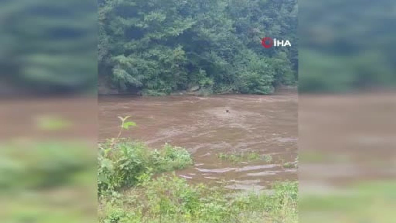 Giresun'da selde bir kız kardeşin cansız bedenine ulaşıldı
