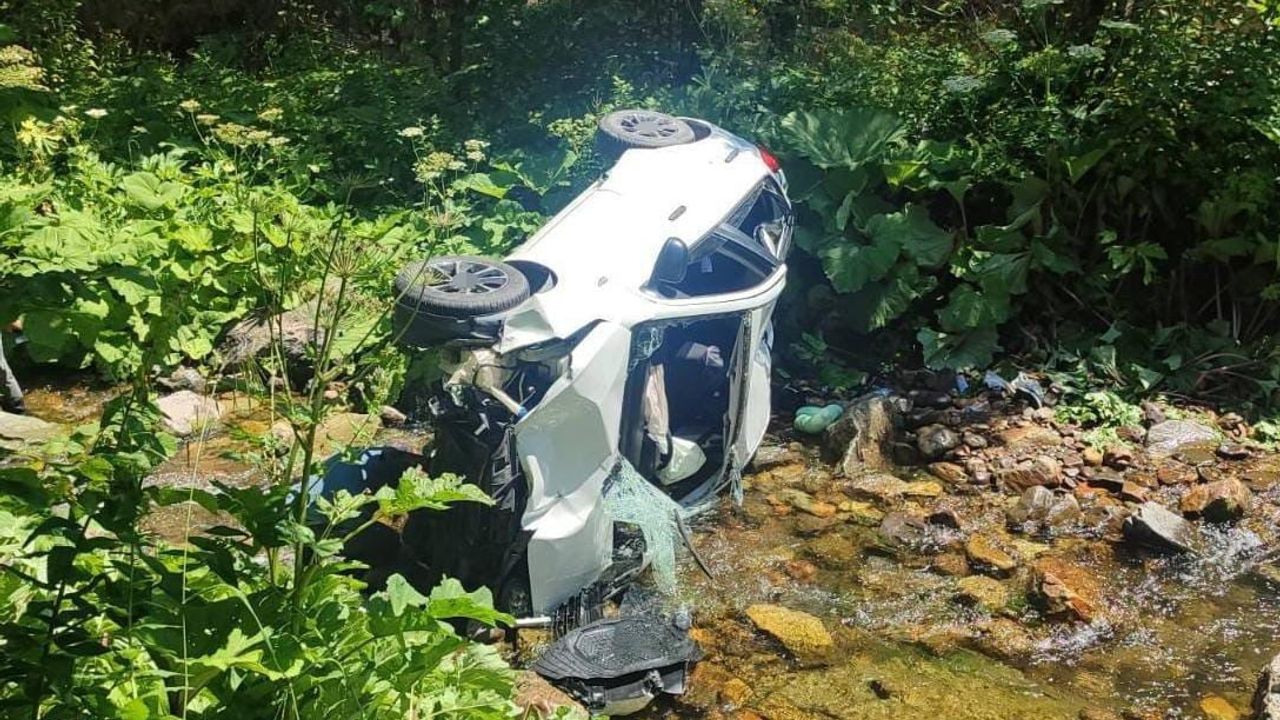 Giresun'da Tamdere mevkiinde araç dereye devrildi, altı kişi yaralandı