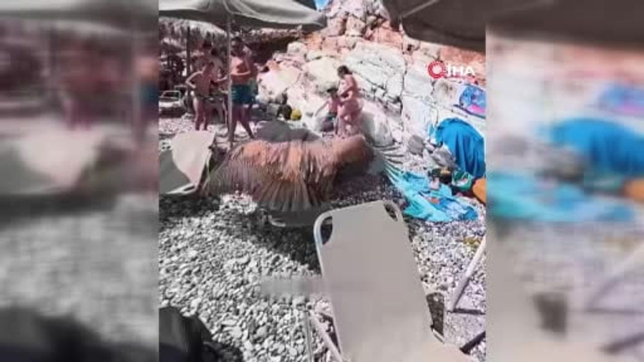 Girit'te kuraklık akbabaları insan alanlarına sürüklüyor