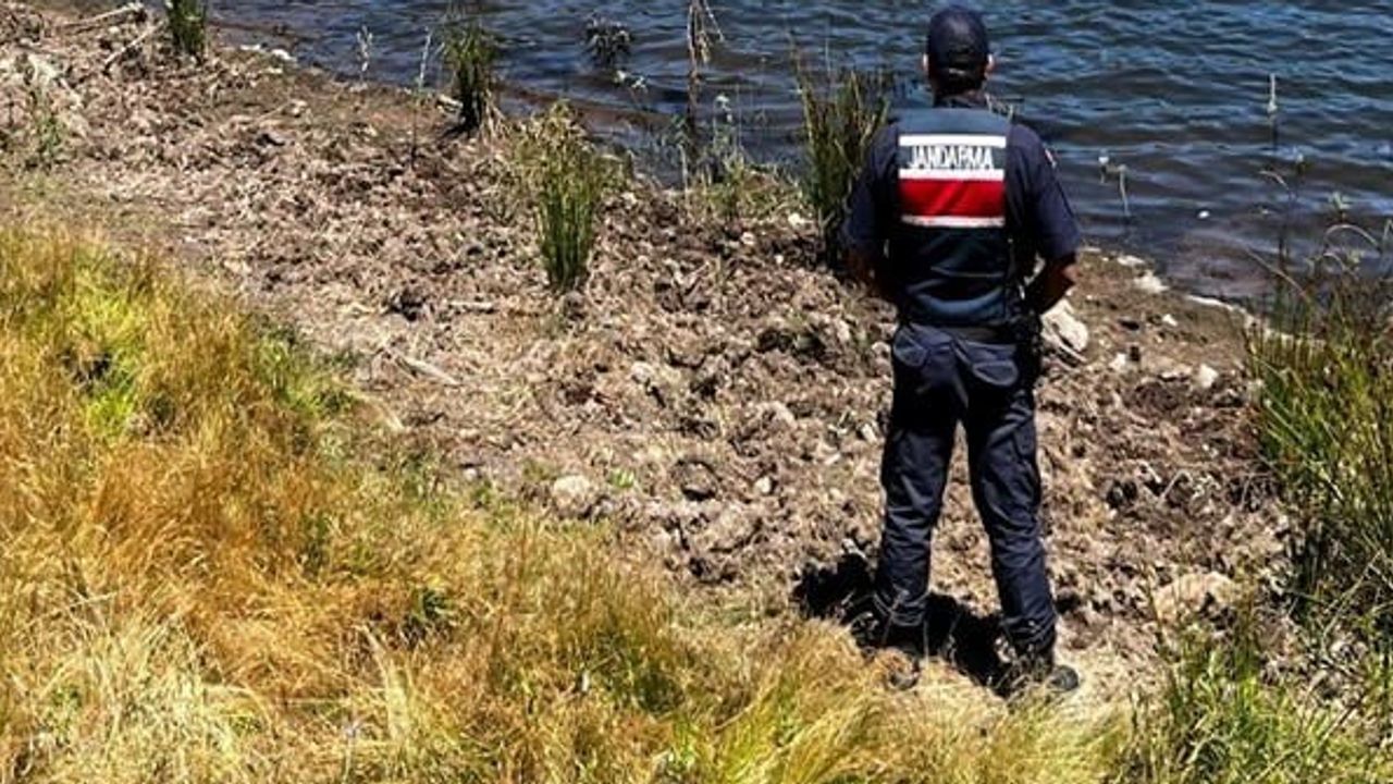 Gölete bırakılan 500 metrelik ağ imha edildi, balıklar doğaya geri döndü