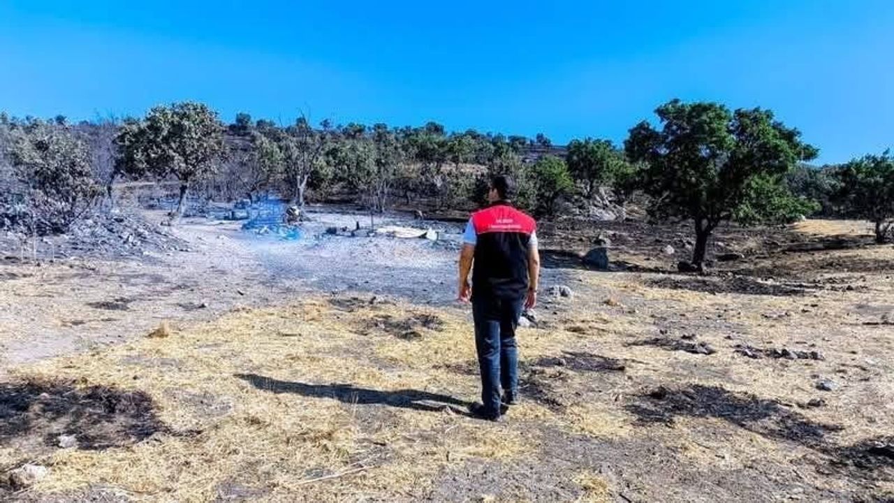 Gömeç'te yangın sonrası tarım arazilerinde hasar tespit çalışmaları başlatıldı