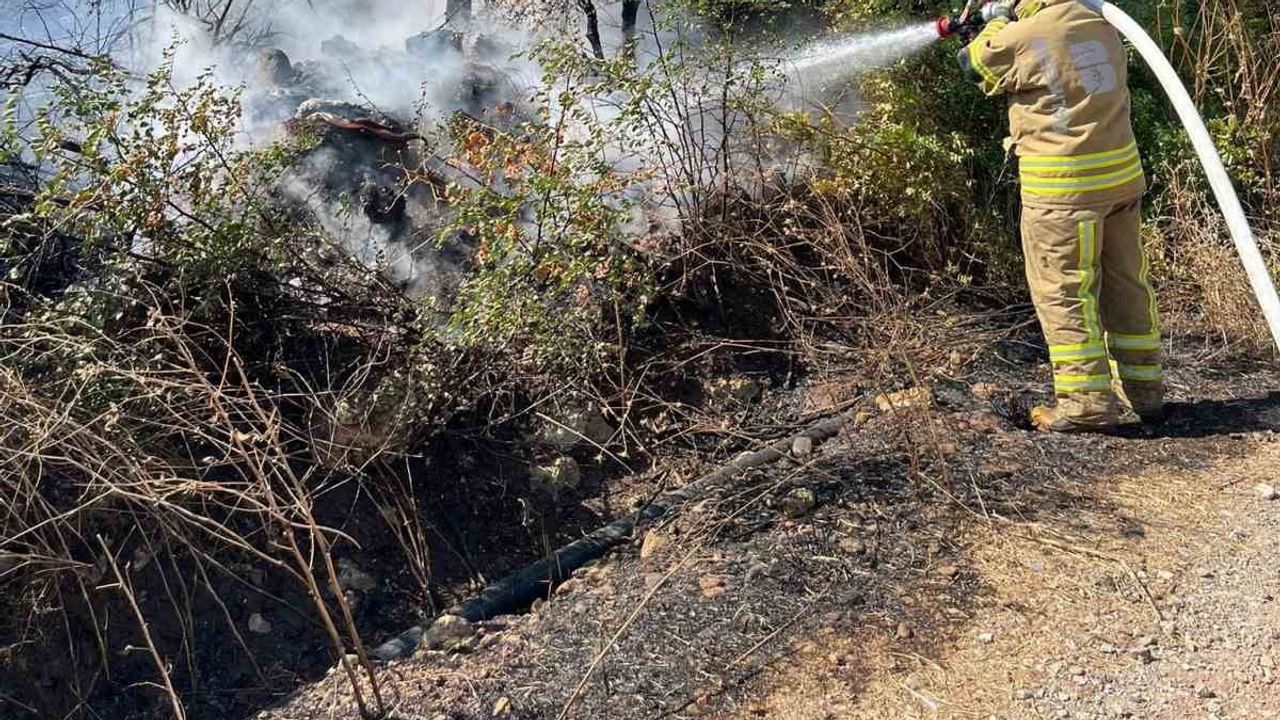 Gönen'de alevlerle mücadele: çiftçiler ve itfaiye yangını söndürdü