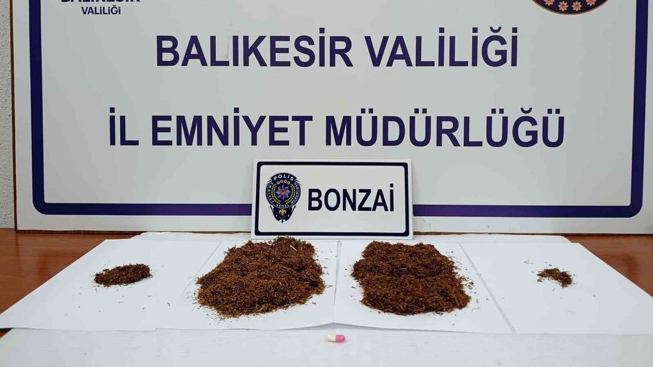 Gönen’de zehir ticaretine darbe: 133 gram bonzai ve bir tutuklama