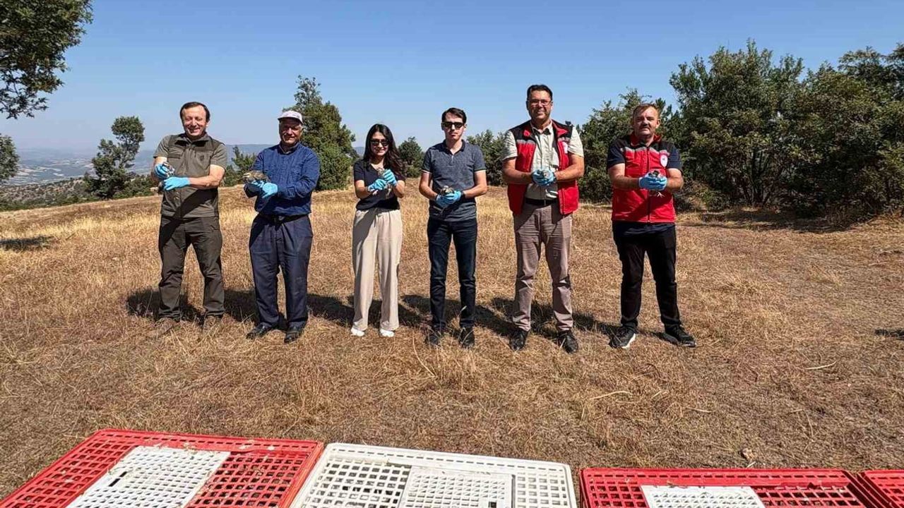 Gördes'te 500 keklik salımıyla bölge ekosistemi güçlendiriliyor