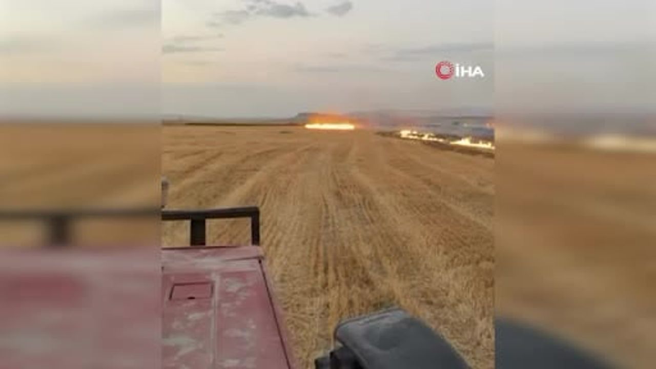 Gordion çevresinde başlayan ot yangını: şüpheli çakmakla suçüstü yakalandı