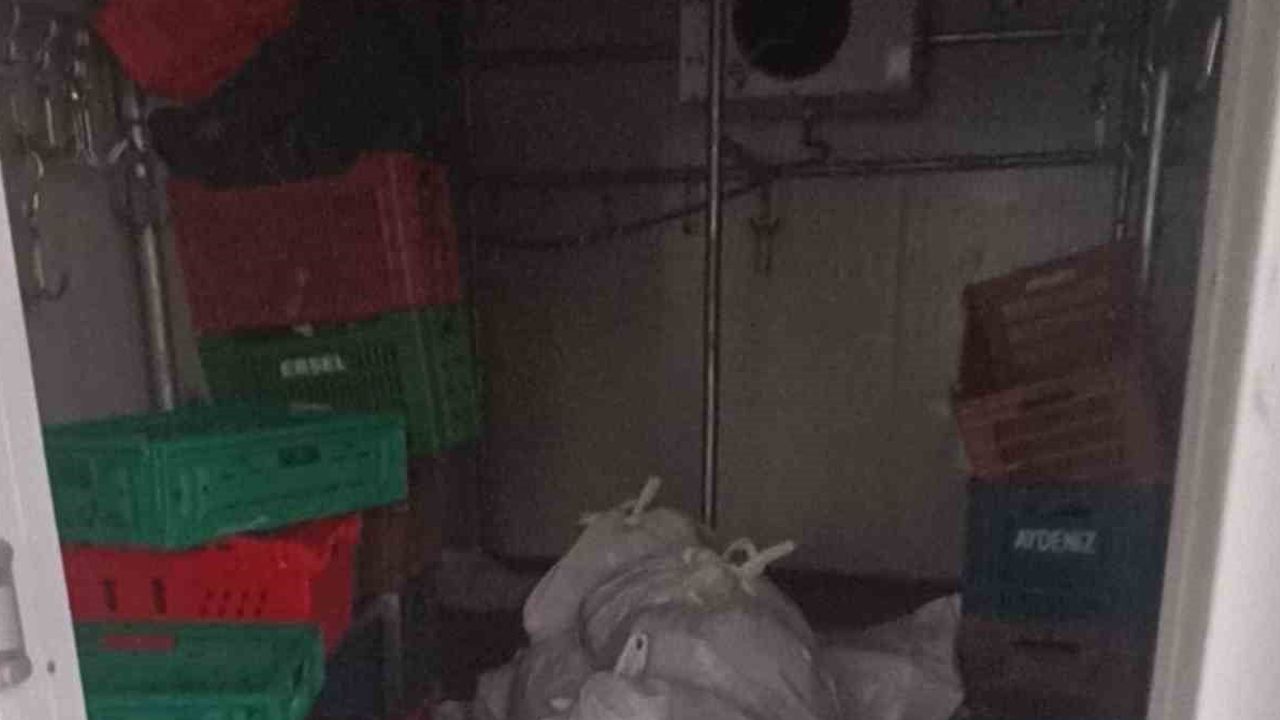 gümbet’te kapalı kasap deposunda 400 kilo bozuk et ele geçirildi